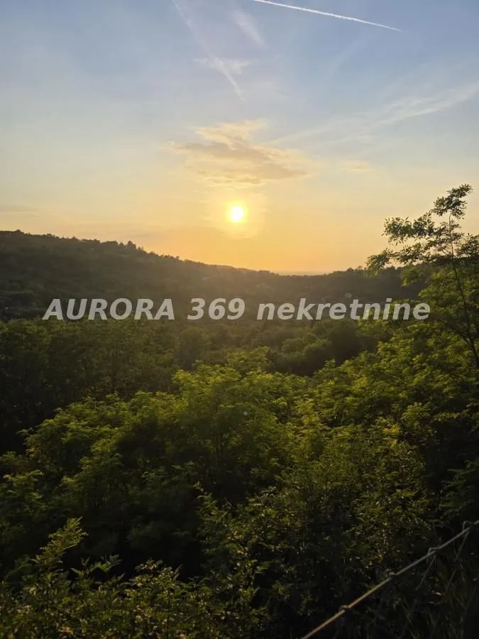 Prodaja, plac, 3729m², Sremska Kamenica, Petrovaradin