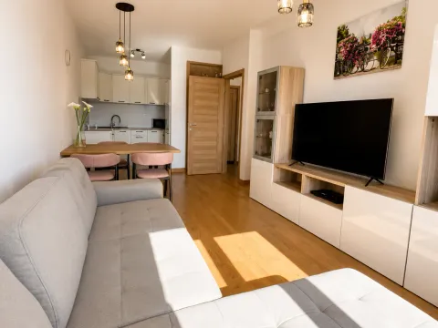 Prodaja, jednosoban stan, 46m², New City, Podgorica - image 3
