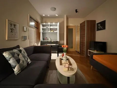 Izdavanje, stan, 28m², Blok 6, Podgorica