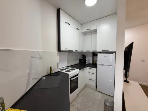 Izdavanje, stan, 45m², Zagorič, Podgorica - image 5