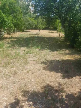 Green yard with trees and lawn. - image 4