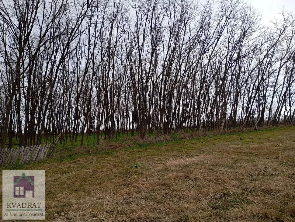 Sale, land lot, 8600m², Konatice, Obrenovac
