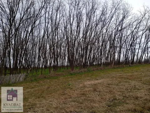 Prodaja, plac, 8600m², Konatice, Obrenovac - image 4