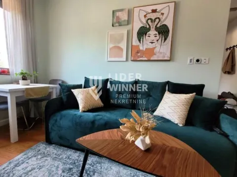 Rent, two bedroom apartment, 40m², Partizanov Stadion, Beograd - image 2