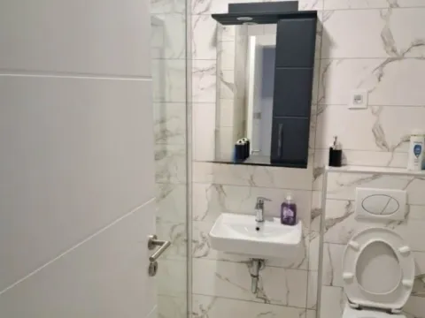 Izdavanje, jednosoban stan, 450m², Tološi, Podgorica - image 4