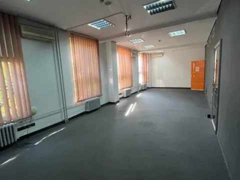 Izdavanje, poslovni prostor, 201m², Botanička Bašta, Palilula Sve Podlokacije - image 2