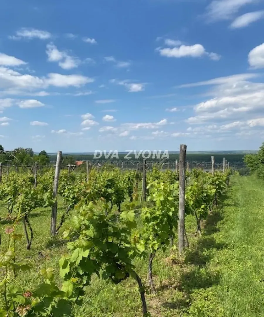 Prodaja, ugostiteljski objekat, 40m², Novi Slankamen, Inđija