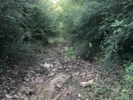 Prodaja, plac, 18900m², Velja Gorana, Bar - image 16