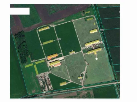 Prodaja, plac, 98000m², Vrbas, Novi Sad - image 17