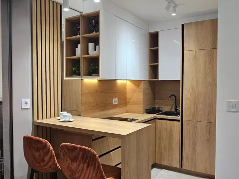 Rent, one bedroom apartment, 33m², Zabjelo, Podgorica - image 3