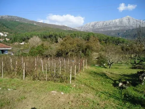 Prodaja, plac, 3636m², Sutorina, Herceg Novi - image 4