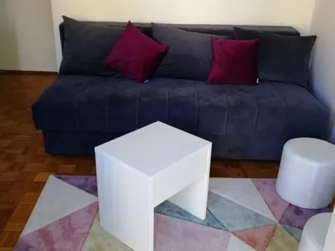 Rent, two bedroom apartment, 52m², Podbara, Novi Sad Sve Podlokacije - image 5