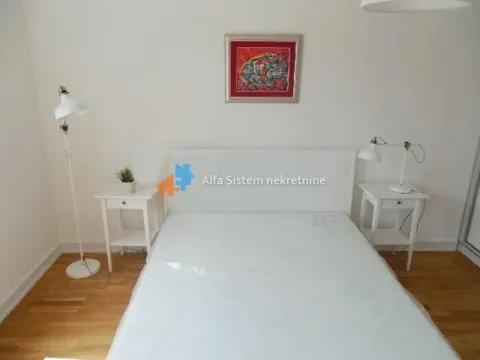 Rent, two bedroom apartment, 56m², Vračar Sve Podlokacije, Beograd - image 9