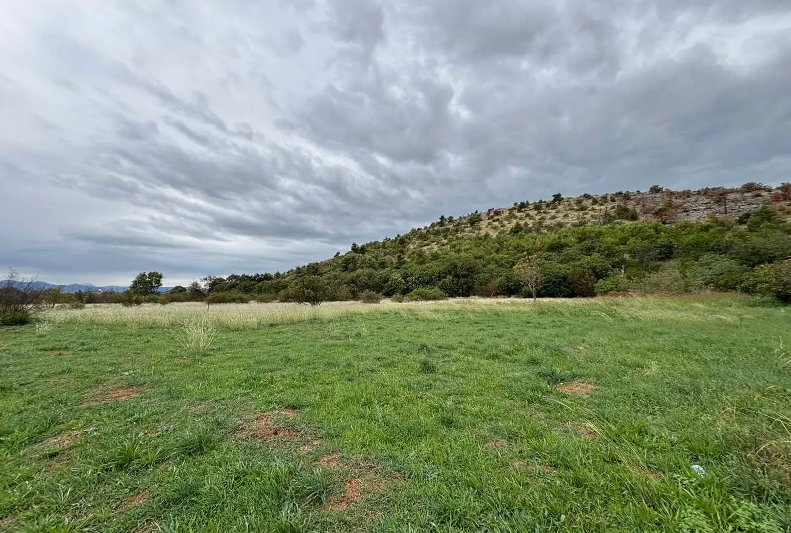 Prodaja, plac, 1903m², Zelenika, Podgorica