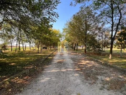 Rent, house, 356m², Čenej, Novi Sad Sve Podlokacije - image 2