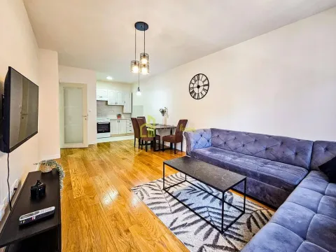 Izdavanje, jednosoban stan, 49m², Central Point, Podgorica - image 4