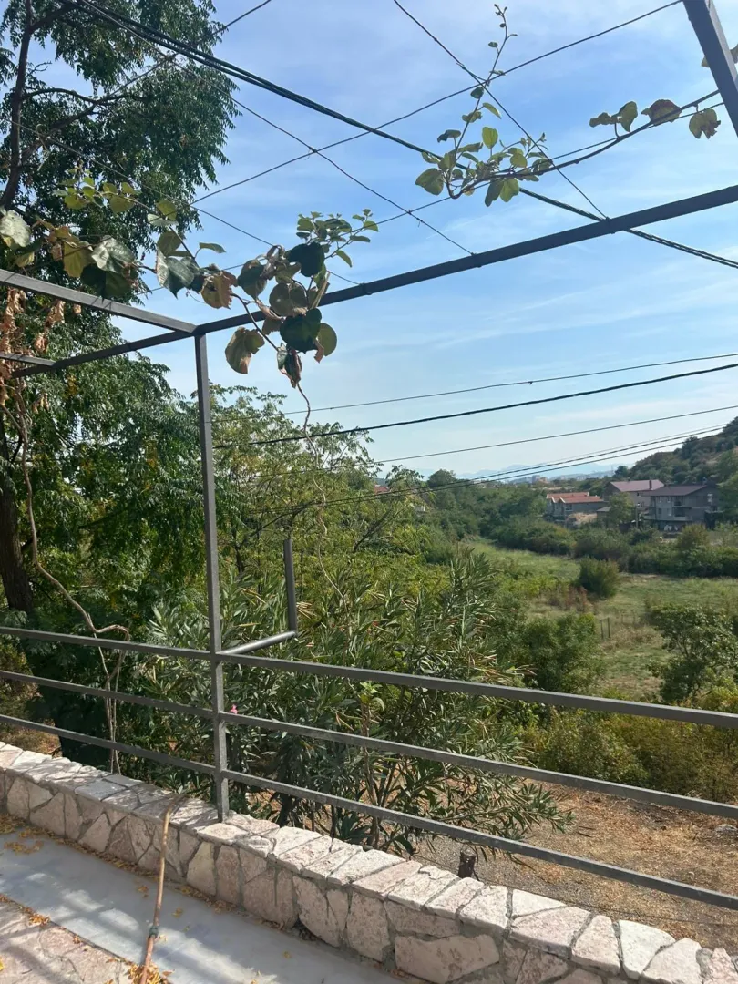 Terasa sa metalnom konstrukcijom za lozu i pogledom na prirodu.