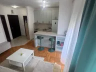 Rent, one bedroom apartment, 40m², Golubovina, Budva - image 2