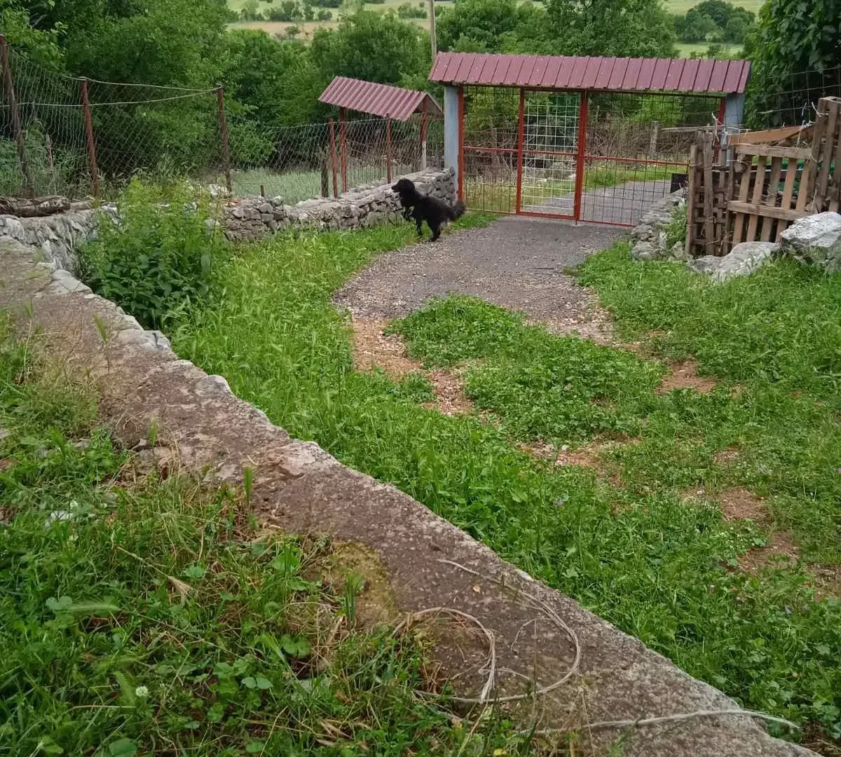 Prodaja, plac, 62467m², Podgorica, Crna Gora