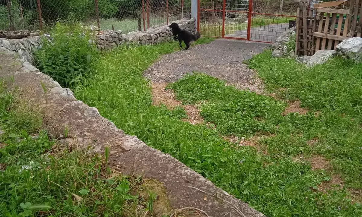 Prodaja, plac, 62467m², Podgorica, Crna Gora