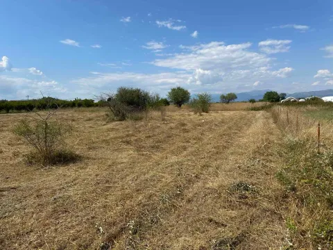 Prodaja, plac, 6000m², Zeta, Podgorica - image 4