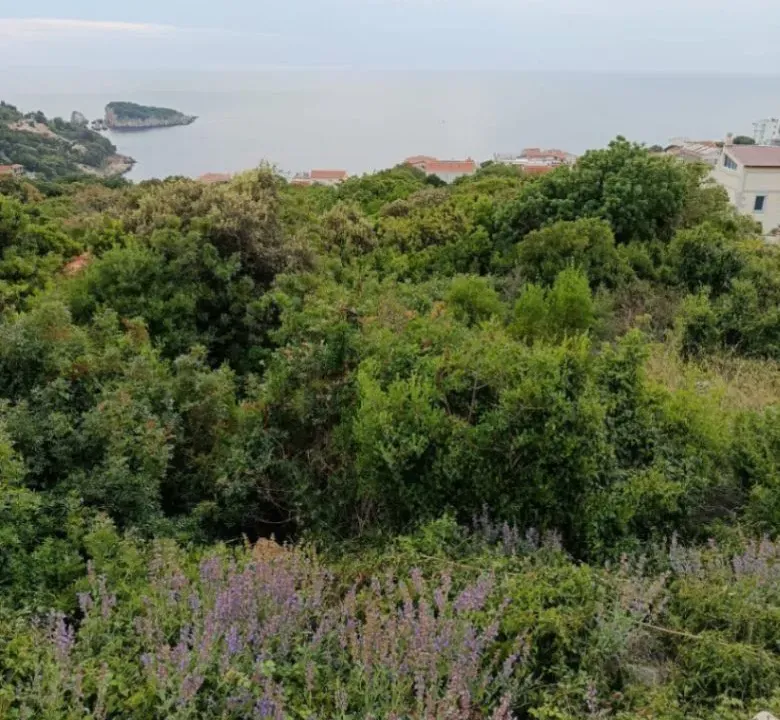 Prodaja, plac, 500m², Hladna Uvala, Bar