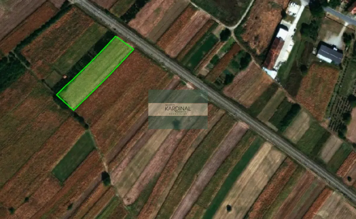 Prodaja, plac, 4458m², Mijatovac, Ćuprija