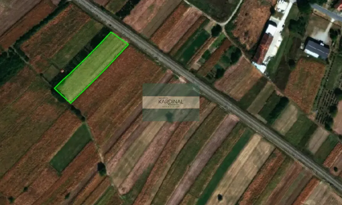 Sale, land lot, 4458m², Mijatovac, Ćuprija