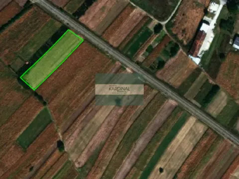 Prodaja, plac, 4458m², Mijatovac, Ćuprija - image 1