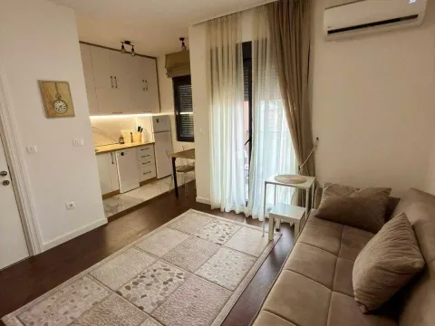 Rent, one bedroom apartment, 369m², Krivi Most, Podgorica - image 2