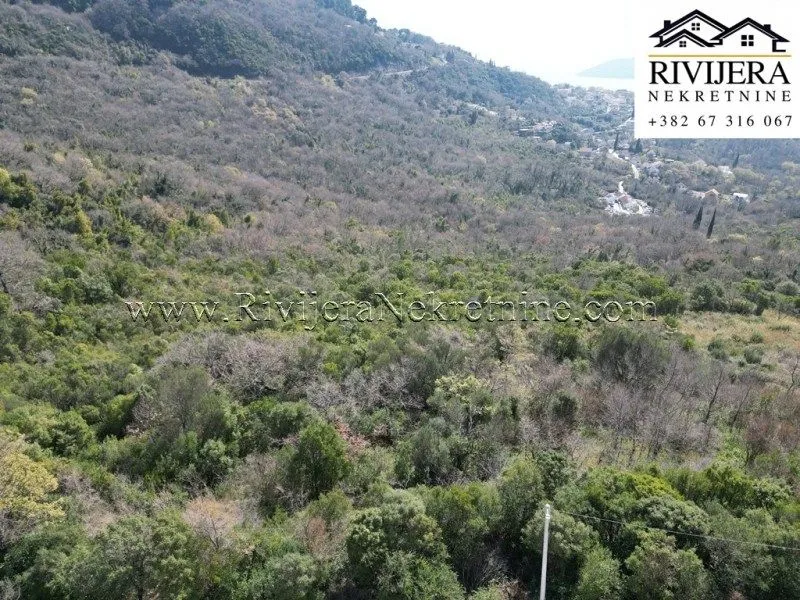 Prodaja, plac, 11744m², Ratiševina, Herceg Novi