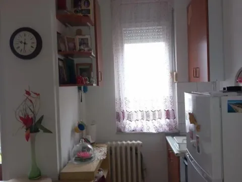 Izdavanje, garsonjera, 25m², Podbara, Novi Sad Sve Podlokacije - image 5