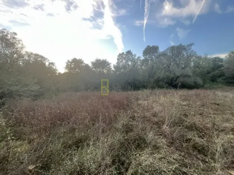 Pogled na plac i šumoviti predio. - image 7