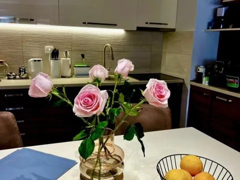 Prodaja, jednosoban stan, 77m², Budva, Crna Gora - image 15