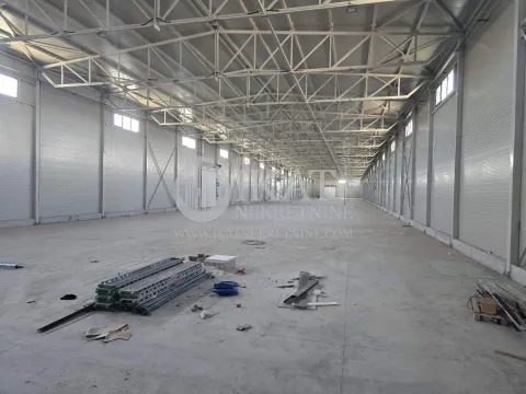 Izdavanje, poslovni prostor, 3440m², Šimanovci, Pećinci - image 4