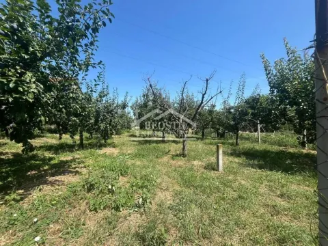 Sale, house, 250m², Papazovac, Smederevo - image 16