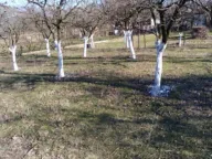 Prodaja, kuća, 1300m², Danilovgrad, Crna Gora - image 10