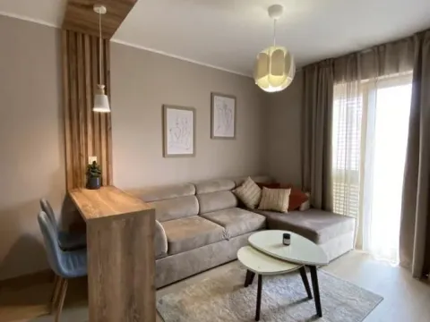 Izdavanje, jednosoban stan, 35m², Seljanovo, Tivat - image 2