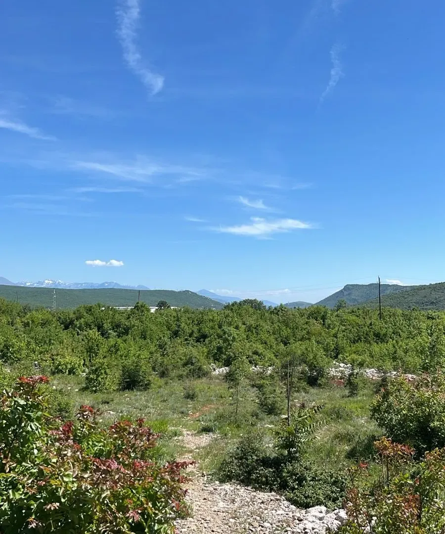 Prodaja, plac, 1500m², Novo Selo, Danilovgrad