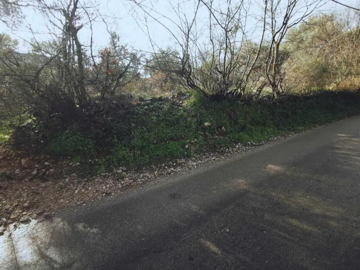 Prodaja, plac, 2100m², Kavač, Kotor