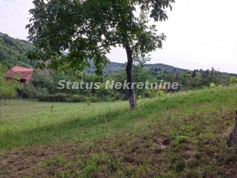 Prodaja, plac, 3800m², Sremska Kamenica, Petrovaradin