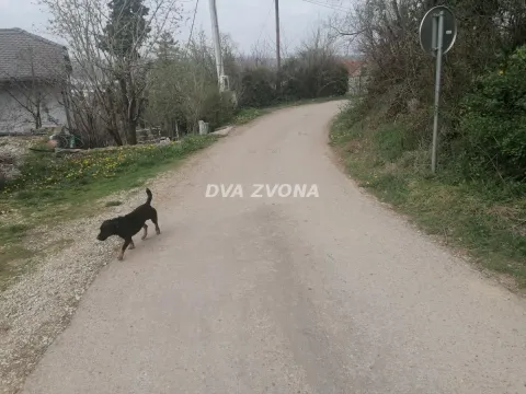 Prodaja, plac, 500m², Čortanovci, Inđija - image 2