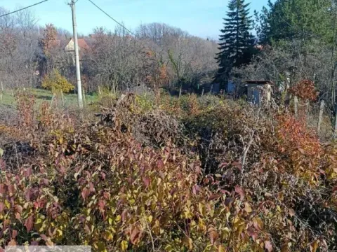 Prodaja, plac, 1238m², Obrenovac, Beograd - image 2