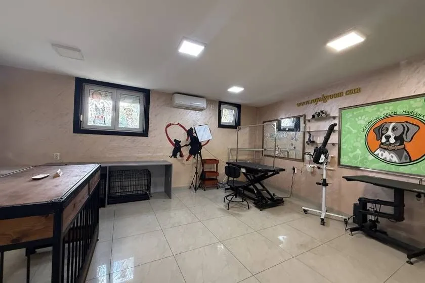 Sale, office space, 56m², Vračar Hram, Vračar Sve Podlokacije
