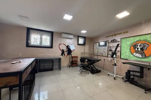 Sale, office space, 56m², Vračar Hram, Vračar Sve Podlokacije - image 2