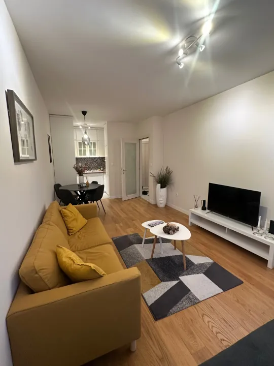 Rent, one bedroom apartment, 47m², Central Point, Podgorica