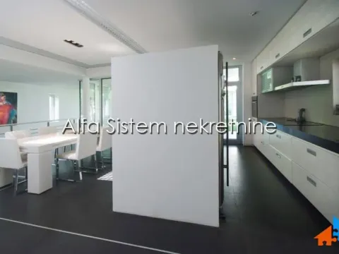 Izdavanje, kuća, 560m², Veliki Mokri Lug, Zvezdara Sve Podlokacije - image 8