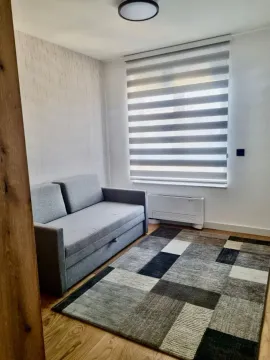 Manja dnevna soba sa sivim trosjedom i tepihom. - image 7