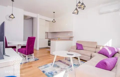 Rent, one bedroom apartment, 59m², Central Point, Podgorica - image 675