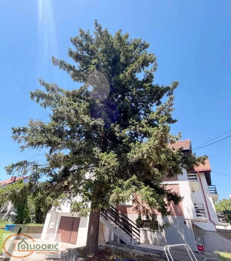 Sale, house, 453m², Sremčica, Beograd